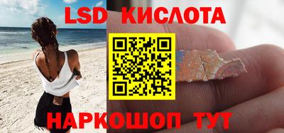 сатива Будённовск